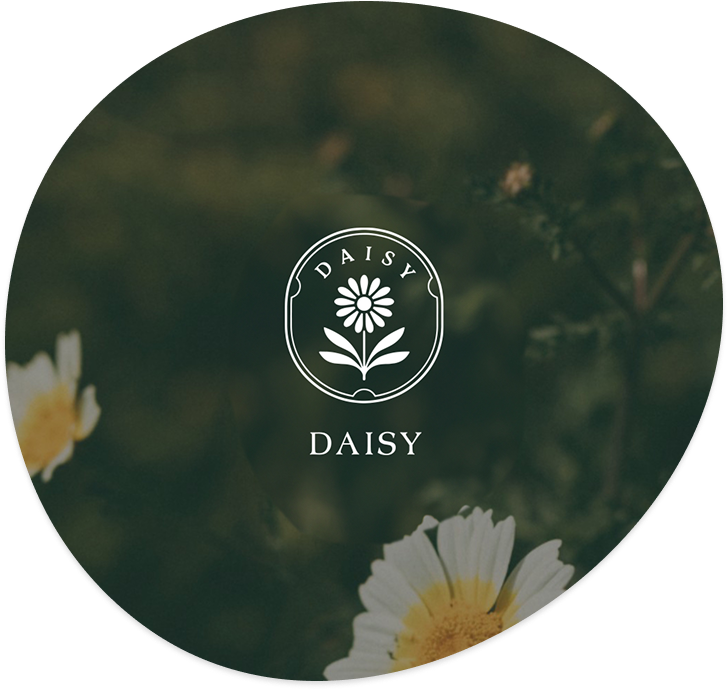 Daisy 波動美學館空間